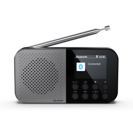 Цифрове радіо SHARP AUDIO DR-P520(GY)