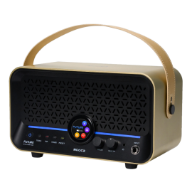 Комбопідсилювач MOOER F15i Li (Imperial Gold)