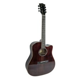 Акустична гітара Toneberg T360-C