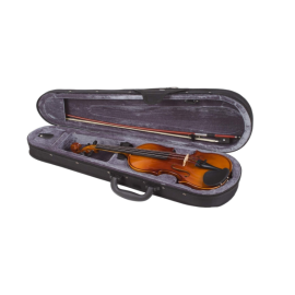 Скрипка STAGG N VN-4/4
