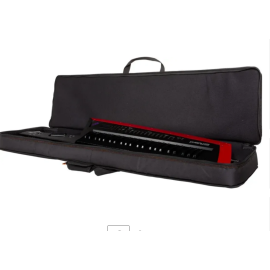 Сумка Roland CB-BAX для AX-EDGE Keytar