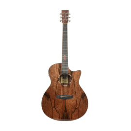 Електроакустична гітара TANGLEWOOD TWX6 CE PW