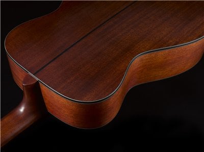 Yamaha Red Label FG solid back and sides